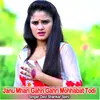 About Janu Mhari Gahri Gahri Mohhabat Todi Song